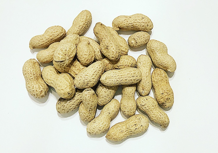 Nuts Peanuts In Shell