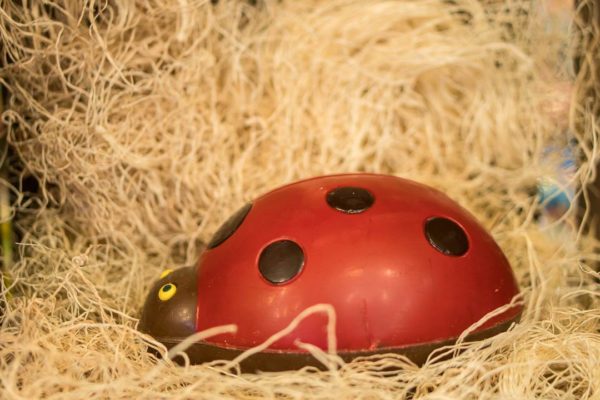 chocolat_paques_coccinelle_st_gerard