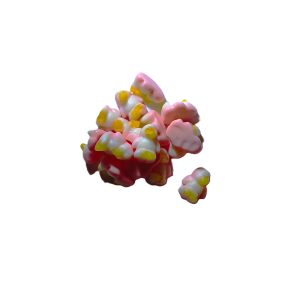 Bonbon Pingouin Antarctique Huer - Format 150g